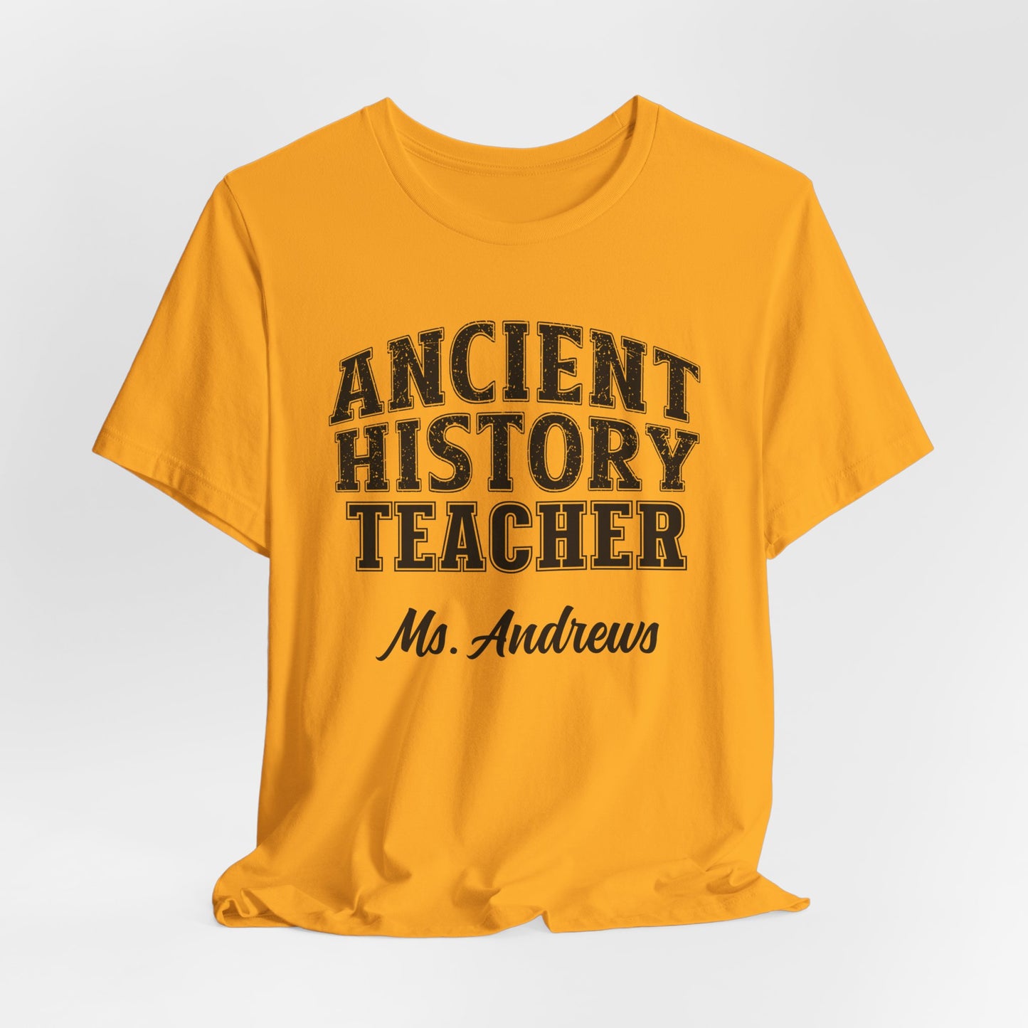 Custom Unisex Ancient History Teacher T-Shirt