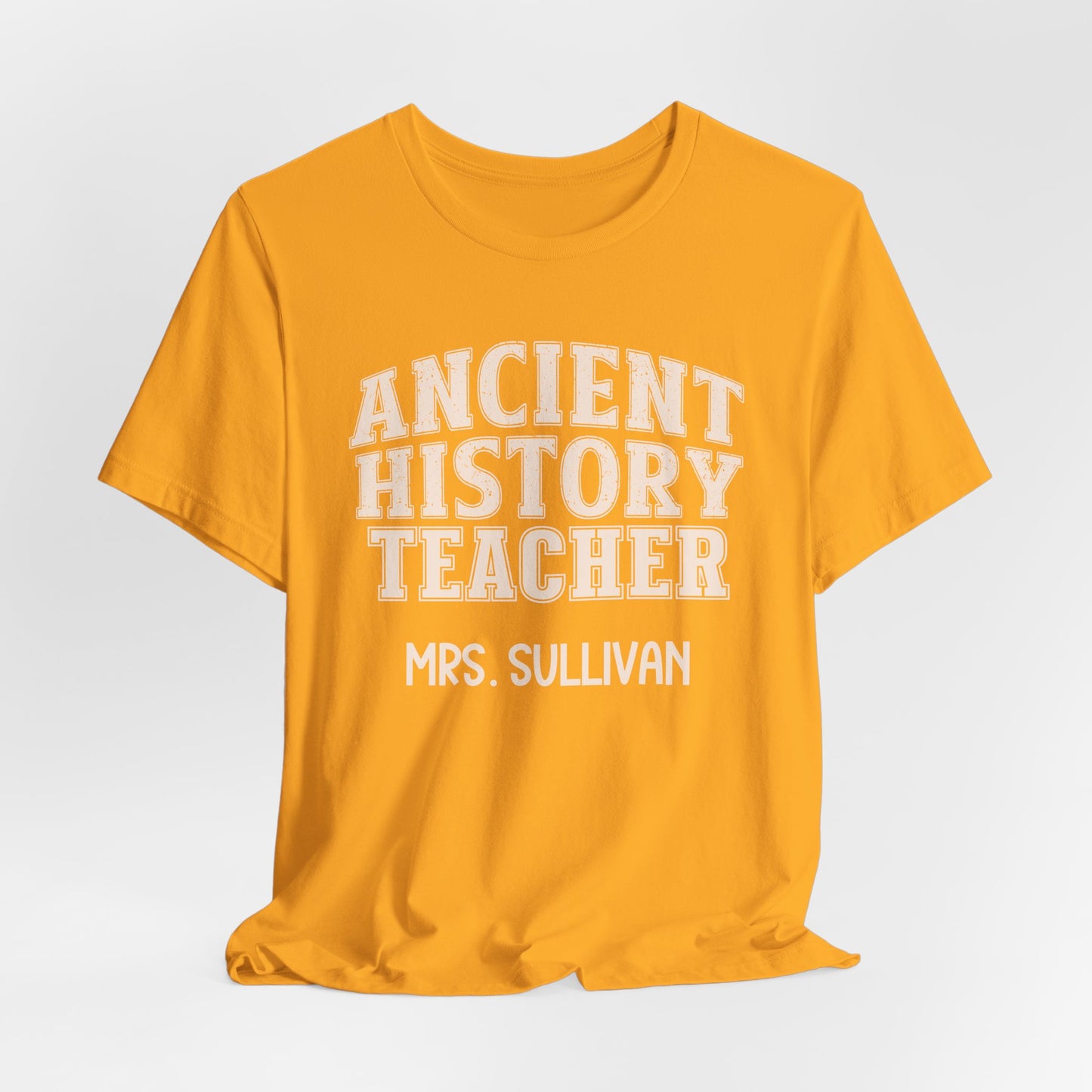 Custom Unisex Ancient History Teacher T-Shirt